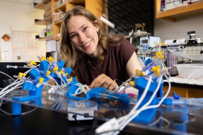 Olivia Fisher, an undergraduate education engineering research student, works in the bioengineering lab.