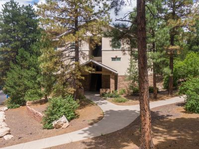 The outside of Pine Ridge Village, a residential apartment, off-campus in Flagstaff and surrounded by pine trees.